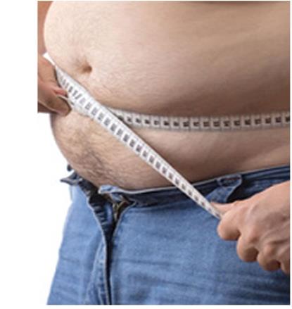 Figure 1: Intragastric Balloon. Figure 2: Excess Body Fat.