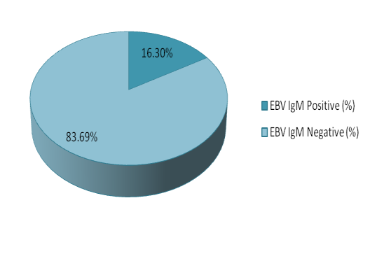 Figure 1: “Pie” diagram showing distribution Positive and Negative pattern for Cytomegalovirus IgM antibody among Systemic lupus erythematosus.