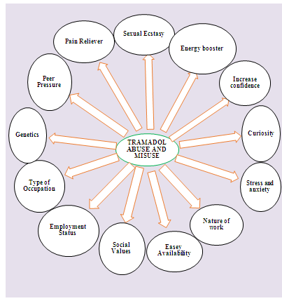 Figure 1: Conceptual Framework.
