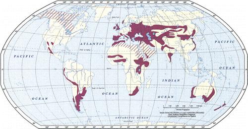 Figure 1: Geographic distribution of hydatid disease Map shows areas in which hydatid disease is endemic due to the transmission of E granulosus by means of the dog-sheep cycle (solid red areas).