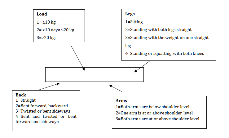 Figure 1: Coding system of OWAS is given in Figure 1.