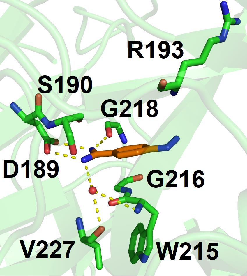 Figure 4: Molecular structures for 4 and 5 are presented in Figure 5.