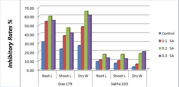 Figure 1: Inhibition rates (IRs) among root length, shoot length and dry weight of barnyardgrass co- cultured with allelopathic Giza 179 and Sakh103 with different concentrations of salicylic acid (SA).