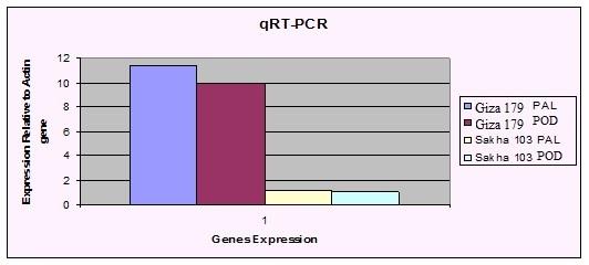 Figure 3: This finding further confirms the findings of SSH analysis (Table 1).