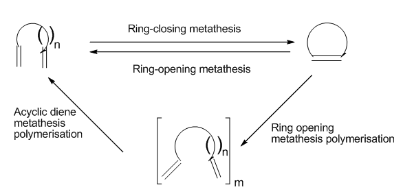 Figure 6: Scheme 2.