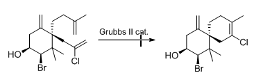 Figure 9: Scheme 5.