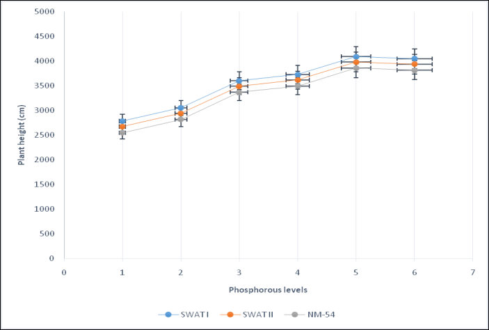 Figure 3: Plant height (cm) of mungbean varieties as affected by various phosphorus levels.
