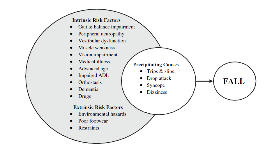 Figure 1: Risk Factors for falls.