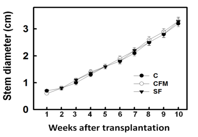 Figure 2: Effects of different fertilizer applications on the stem diameter of maize. Maize seedlings were grown in a greenhouse for 2 weeks, then transplanted to the experimental area, which included compost (C), compost added far-infrared material (CFM), and synthetic fertilizer (SF). The vertical line on each bar indicates the standard error for three replicates. Bars show means ± SE. *, which represent values that are significant at P0.05. According to the aforesaid results, while the compost of chicken manure with far-infrared material can promote the growth of maize, the effect of promoting the maize stalk width is not obvious.