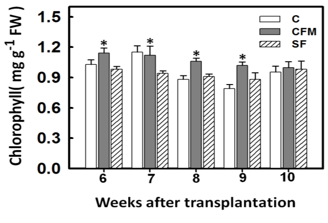 Figure 3: Effects of different fertilizer applications on the chlorophyll content of maize leave. Maize seedlings were grown in a greenhouse for 2 weeks, then transplanted to the experimental area, which included compost (C), compost added far-infrared material (CFM), and synthetic fertilizer (SF). Chlorophyll content was measured during 6 to 10 weeks after transplantation. Bars show means ± SE. *, which represent values those are significantly different between CFM and SF treatments at the 5% level. In 10th week of growth, there is no significant difference in chlorophyll content among treatments, which may be caused by the change of chlorophyll synthesis rate from vegetative growth stage to reproductive growth stage and decrease of growth rate of stem and leaf. In terms of the RGR survey, in 8th week of maize growth, the RGR of the maize applied with the compost of chicken manure with far-infrared material is apparently higher than the other treatments (Figure 4).
