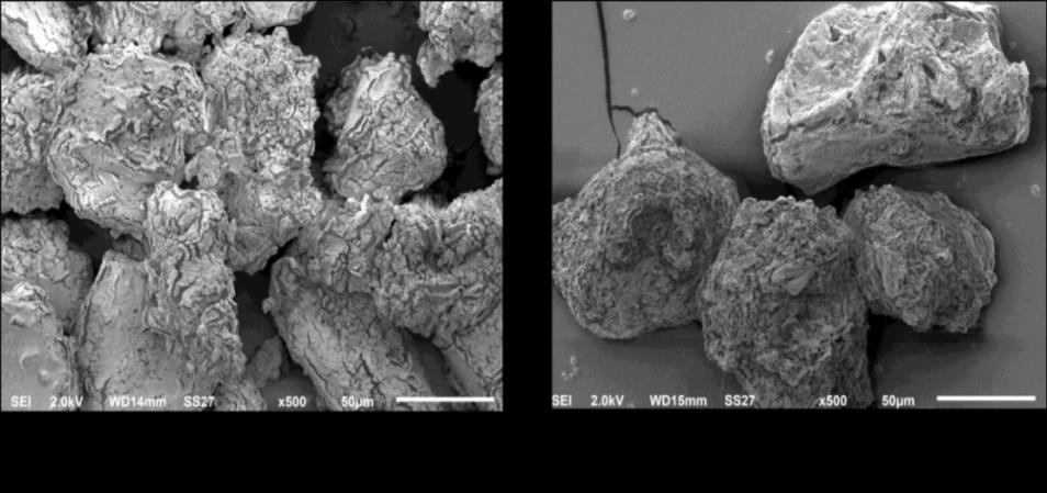 Figure 3: SEM micrographs of a) ZN#5 b) ZN#2