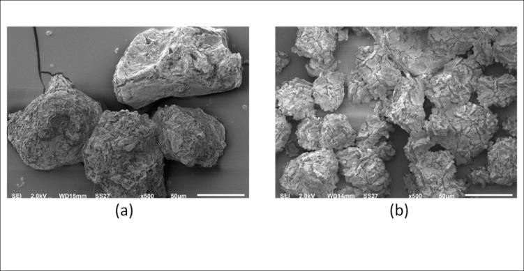 Figure 5: SEM micrographs of a) ZN#2 b) ZN#13.