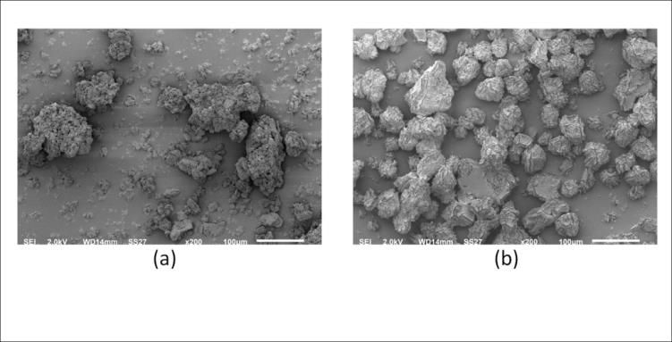 Figure 6: SEM micrographs of a) ZN#16 (without viscoplex b) ZN#13 (with viscoplex).