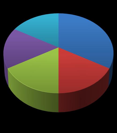 Figure 9: Location of infarcts after staining.