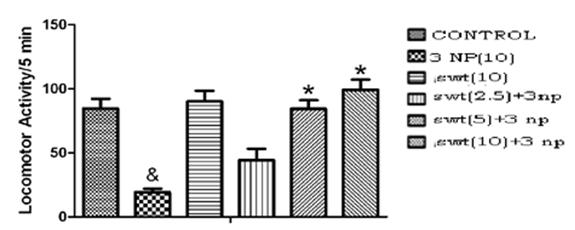 Figure 3: Influence of swertiamarin treatment on locomotor activity in Actophotometer. Effect of swertiamarin on spatial navigation task in 3- NP treated rats:
