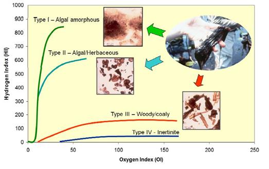 Figure 1: Principle types and evolution path of kerogen.