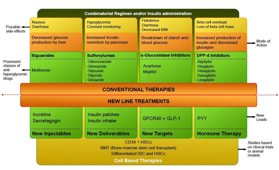 Figure 1: A schematic representation of most prominent class of anti-hyperglycemic drugs used in conventional therapy with proposed new line of treatments and therapies. Adapted from Izucchi et al. [13].