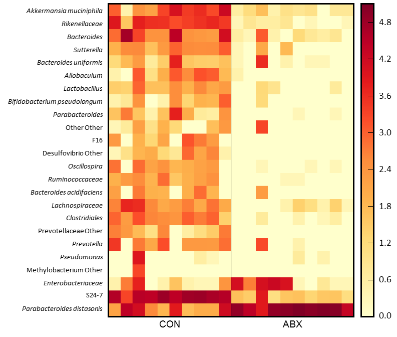 Figure 2: Oral broad-spectrum ABX treatment changes gut microbiota diversity in juvenile mice just prior to IAV infection.