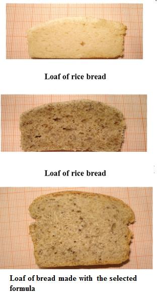Figure 5: Appearance of the crumb of the bread selected in comparison with that made with the base formula and with rice flour.