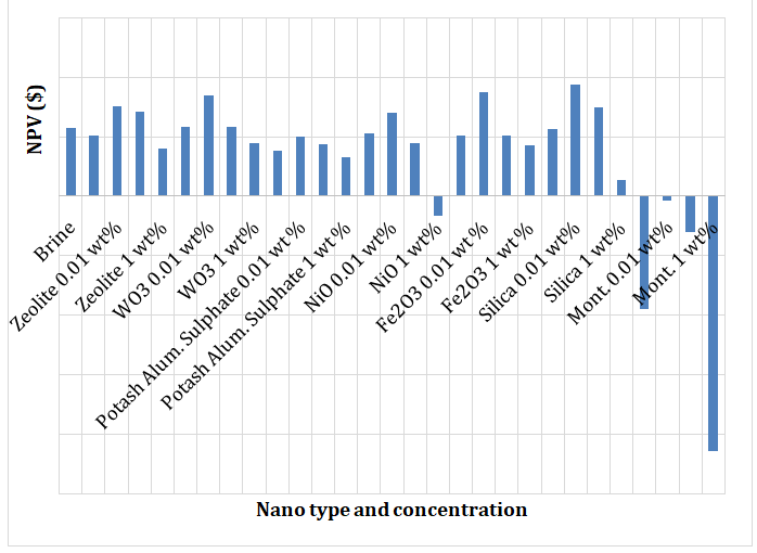 Figure 4: Nano type and concentration vs NPV.