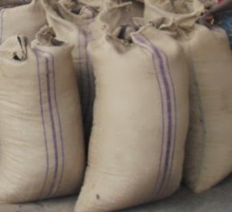 Figure 7: Sieving of cocoa beans.