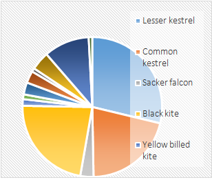 Figure 3: Percentage of Electrocution in the three states.