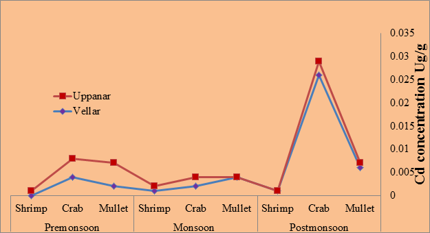Figure 4: Level of Cadiumum concentration (µg/g) in studied species collected from Vellar and Uppanar estuaries at different seasons.