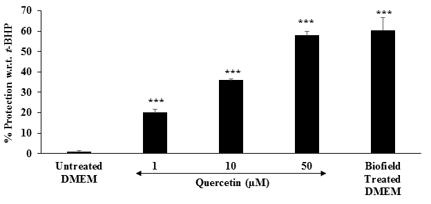 Figure 2: Protection against oxidative stress in terms of percentage values was described and compared with the untreated DMEM (control) group. The positive control, quercetin showed a significantly (p≤0.001) increase cellular protection by 20.12%, 35.97%, and 57.95% at 1, 10, and 50 µM, respectively with respect to the untreated DMEM group. The Biofield Energy Treated DMEM group showed a significant (p≤0.001) increase cellular protection against oxidative damage by 60.50% compared with the untreated DMEM group. This suggests that Biofield Energy Treatment has the significant capacity to reduce the oxidative stress, which can create a balance between the oxidants and antioxidants. Any inflammatory diseases or autoimmune diseases cause severe stress and production of free radicals, which would damage the cells, cellular processes, lipids, DNA, carbohydrates, and proteins [38]. t-BHP has the significant capacity to reduce the cell viability and causes cell death. ROS can interact with cellular proteins, lipids or DNA, cell dysfunction, and cause apoptosis. This implicating severe oxidative damage leads to various disease pathogenesis [39]. However, the Biofield Energy Healing Treatment might significantly improve the protection level against oxidative damage that leads to a better lung health against many lung diseases.