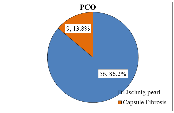 Figure 1: Distribution of the studied group according to PCO.