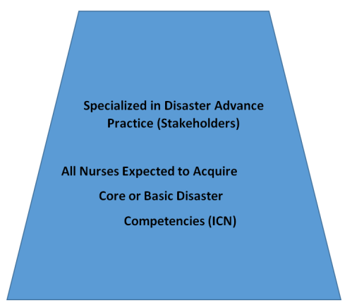 Figure 2: The world leading agency in disaster management.