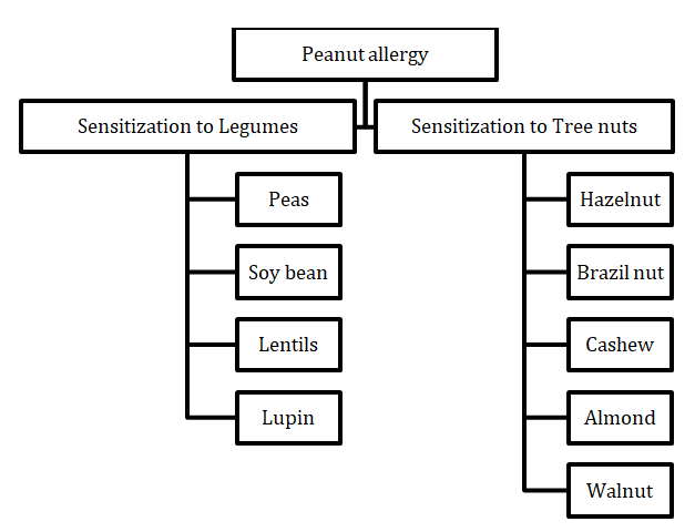 Figure 3: Cross-reactivity and sensitization to other legumes and tree nuts in peanut-allergic individuals.