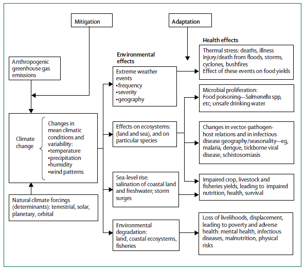 Figure 1: Schematic summary of main pathways by which climate change affects population health. Source: Anthony J McMichael, Rosalie E Woodruff, Simon Hales [3], Climate change and human health: present and future risks, p-1-11.