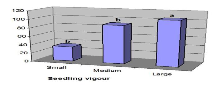 Figure 2: Effect of seed size on seedling vigour in wheat [28]. Effect of large seed on grain yield of wheat Larger seeds of spring wheat produced higher yields than smaller seeds under late-sown conditions but not under optimum management conditions. In wheat, seed size not only influence emergence and establishment but also affected yield components and ultimately grain yield. Simmone, et al. [29] reported that size of seed has a strong influence on germination as well as growth and biomass increment of a plant. With increasing seed size spike production and density, number of tillers, main stem length, thousand kernel mass, test mass, seed vigor and yield increased, maturity was advanced and seed moisture content at harvest decreased in Croatian spring malting barleys [7].