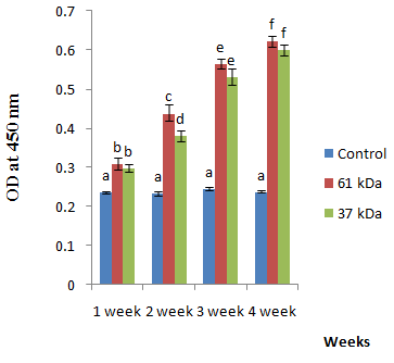 Figure 9: Effect of 61 kDa and 37 kDa _E. tarda_ proteins as immunogen on mean RPS in rohu after challenge with _E._ _tarda._ Copyright© Prasad KP, et al.
