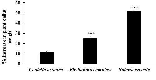 Figure 2: Effect of Biofield Energy Healing Treatment on change in callus weight of all three tested plants. ***p ≤ 0.001 vs. Centella asiatica.