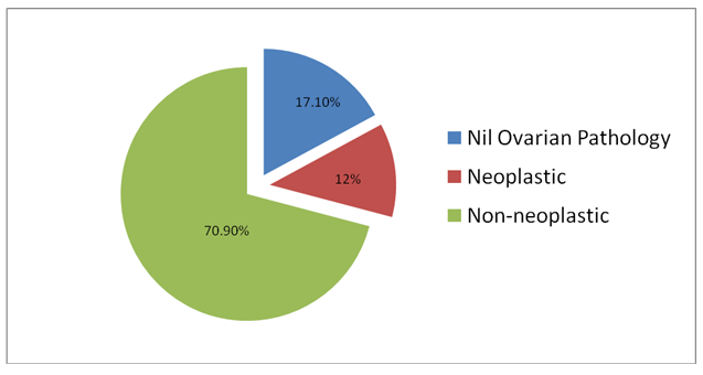 Figure 1: Nil Ovarian Pathology.