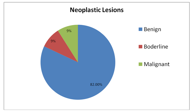 Figure 3: Neoplastic Lesions.