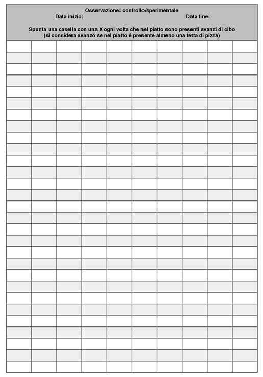 Figure 3: The observational grid used to gather data about the number of plates with leftovers.