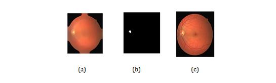Figure 2: Outline of the proposed method.
