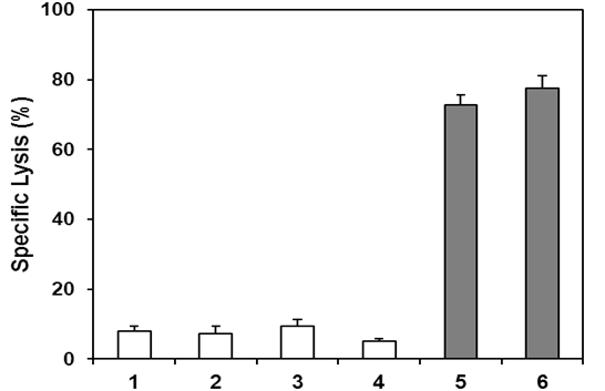 Figure 2: Lanes 1 to 4 represent negative controls. Lane 1: no treatment (negative control); Lane 2: 3μL freshly prepared rabbit baby complement (negative control); Lane 3: normal human IgG (10μg/ml plus complement) (negative control); Lane 4: normal mouse IgG (10μg/mL plus complement) (negative control); Lane 5: hGHR106 (10μg/ml plus complement) (2-hour incubation); Lane 6: mGHR106 (10μg/ml plus complement) (2-hour incubation). ** indicate statistical significance of P < 0.01.
