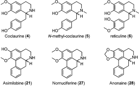 Figure 2: Anandamide Endocannabinoids.