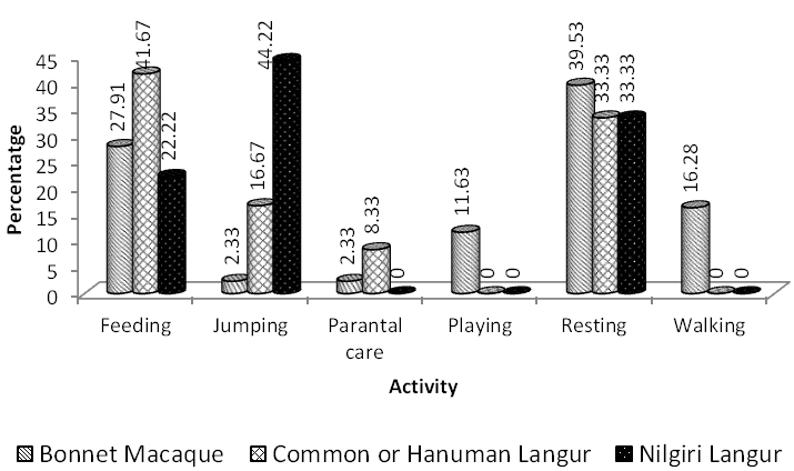 Figure 15: Comparison of different activities observed by the south Indian primates.
