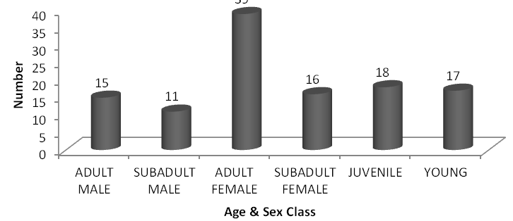 Figure 5: Group Composition of Common Langur.