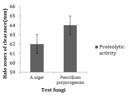 Figure 1: The finding of this work is in agreement with the result of Jain, et al. [9] in which actinomycetes demonstrated excellent, good, fair and poor protease activity and that of Kannahi & Ancy [10] in which Fusarium oxysporum demonstrated higher protease activity of 33.6% than A. flavus with activity of 19.2%.