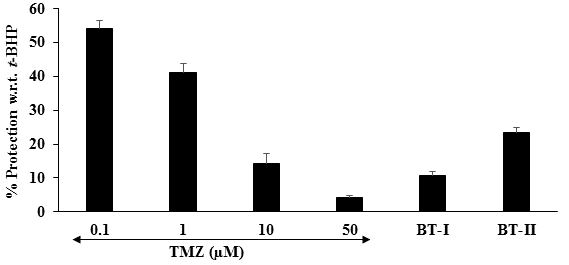 Figure 2: Assessment of cytoprotective effect of the test items in rat cardiomyocyte (H9c2) cells against tert-butyl hydroperoxide (t-BHP) induced cell damage. TMZ: Trimetazidine; BT-I: One-time Biofield Energy Treated DMEM; BT-II: Two-times Biofield Energy Treated DMEM.