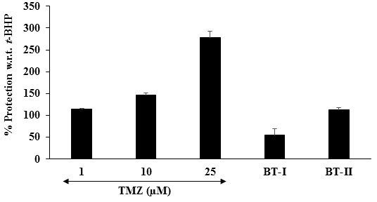 Figure 5: The effect of the test samples on the protection of reactive oxygen species (ROS) in rat cardiomyocyte (H9c2) cells after 24 hours of treatment with the induction of tert-butyl hydroperoxide (t-BHP). TMZ: Trimetazidine; BT-I: One-time Biofield Energy Treated DMEM; BT-II: Two-times Biofield Energy Treated DMEM.