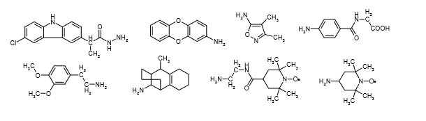 Figure 2: Chemical structure of Graphene-Oxide Amine derivatives.