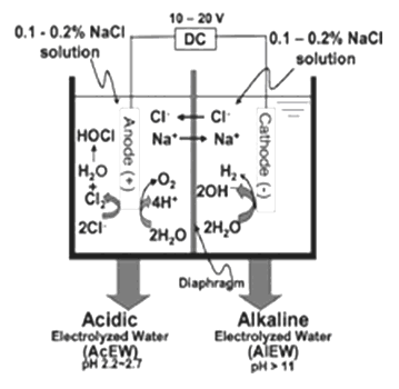 Figure 3: A schematic representation on generation of electrolyzed water [15]. Disinfectant properties of electrolyzed water solutions with higher pH have been showed no adverse effects on surface colour, pH or general appearance of fresh-cut vegetable. The use of neutral electrolyzed water offers the advantage over acidic electrolyzed water that the first does not affect the pH, surface colour or general appearance of the product treated [2]. The microorganisms on the lettuce treated with various sanitizers were enumerated (Figure 4). AcEW and NaOCl solution reduced the viable aerobic bacteria on the lettuce by 2 log cfu/g within 10 min. For lettuce washed with AlEW for 1 min and then treated with AcEW for 1 min (this treatment is referred to as 1+1 treatment), viable aerobic mesophilic bacteria on the lettuce were reduced by 2 log cfu/g. On the other hand, treatment with ozonated water reduced the viable aerobic mesophilic bacteria on the lettuce by 1.5 log cfu/g within 10 min. Tap water did not decrease aerobic bacteria in the lettuce. Coliform bacteria populations were reduced to less than 2 log cfu/g by all treatments except for tap water. There were little differences in the bactericidal effect among the treatments. Although the difference in bactericidal effect between AcEW and NaOCl solution was not significant, the effect of ozonated water was smaller than the other two treatments significantly. Fungal populations were reduced by 1.5 log cfu/g by the treatment with AcEW, NaOCl and 1+1. Treatment with ozonated water reduced molds and yeasts by about 1 log cfu/g [12].
