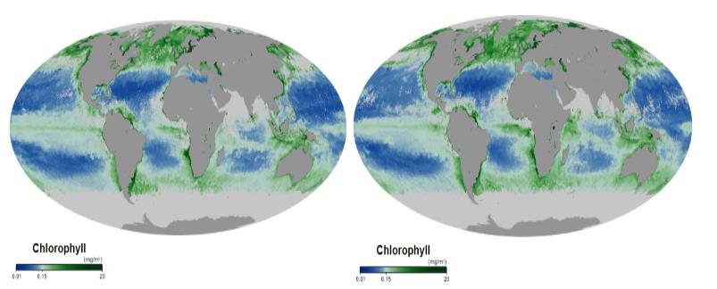 Figure 5: Chlorophyll concentration maps of July 2008 and July 2018 are based on observations by the MODIS on NASA’s Aqua satellite (source: https://earthobservatory.nasa.gov/global- maps/MY1DMM_CHLORA). Places where chlorophyll amounts were very low, indicating very low numbers of phytoplankton are blue. Places where chlorophyll concentrations were high, meaning many phytoplankton were growing, are dark green.