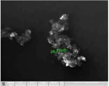 Figure 2: Study of magnetite nanoparticles with use microscope ion-electronic raster-type Quanta 200 3 D.